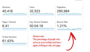 aim for a bounce rate on new visitors of 10% or less.